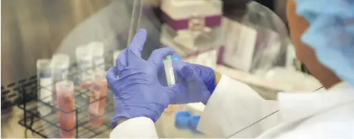  ??  ?? Taking a proactive approach Lab technician preparing mesenchyma­l stem cells for freezing. Photo Credit: CReATe cord blood bank