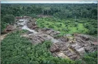  ??  ?? Illegally logged indigenous land in the Amazon basin.