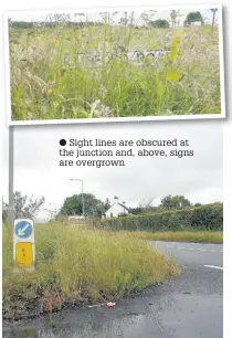  ?? Sight lines are obscured at the junction and, above, signs are overgrown ??