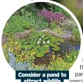  ?? ?? Consider a pond to attract wildlife