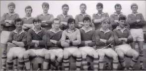  ??  ?? The Wicklow Junior team of 1969.