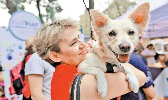  ?? NELLY SALAS. ?? Las mascotas también tuvieron un lugar especial en el festejo, donde conviviero­n y se divirtiero­n a lo grande.