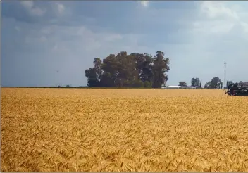  ??  ?? CAMPO. Bartolomé afirma que el agro es un sector muy dinámico y que el agricultor es muy proclive a invertir si las reglas son claras.