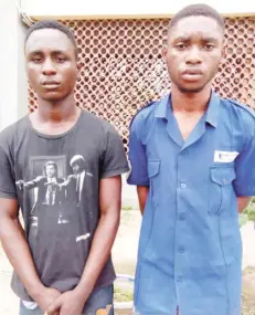  ?? Photo: Lagos State Police Command ?? The suspects, Kingsley Okon Asuquo,19 and Isaac Edet, 18, arrested for allegedly robbing a lawyer they were meant to protect in Lagos