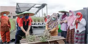  ?? ALFIAN RIZAL/JAWA POS ?? DI ROOFTOP SEKOLAH: Guru SMPN 4 panen padi dan lele dengan sistem hidroganik.