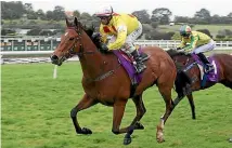  ?? PHOTO: TRISH DUNELL ?? El Pescado and Cameron Lammas chase Group I honours in the Makfi Stakes at Hastings.