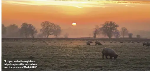  ??  ?? “A tripod and wide-angle lens helped capture this misty dawn over the pasture of Marlpit Hill”