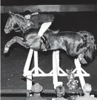  ?? ?? The Saddlebred gelding Allegro, with Dan Marks, VMD, aboard, competes at Madison Square Garden in 1958. Allegro was once part of the U.S. Olympic Team jumper squad.