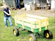  ?? LYNN KUTTER ENTERPRISE-LEADER ?? Hudson Moore is only 2 years old but he’s ready to do his part on the family farm. He already helps to care for pigs and rabbits that are shown at the Washington County Fair.