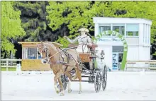  ??  ?? Claire Lefort en Dressage au concours internatio­nal de PAU octobre 2016