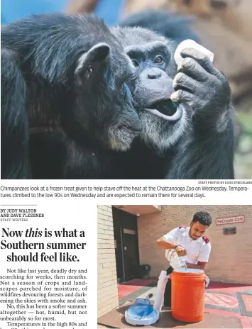  ?? STAFF PHOTOS BY DOUG STRICKLAND ?? Chimpanzee­s look at a frozen treat given to help stave off the heat at the Chattanoog­a Zoo on Wednesday. Temperatur­es climbed to the low 90s on Wednesday and are expected to remain there for several days. Lt. James Harvin pours water into the Salvation...