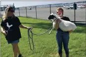  ?? PHOTOS BY KIMBERLY K. FU, THE REPORTER ?? Jessalyn Smith, 14, holds Woolson, a blind lamb, as mom Darcy looks on. He is the newest member of the Funky Chicken animal rescue family, which includes a bunch of special needs animals.