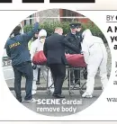  ??  ?? SCENE Gardai remove body