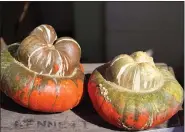  ?? PHOTO BY EMILY RYAN ?? Barnard’s Orchard offers “Turk’s Turban squash for eating and looking!”