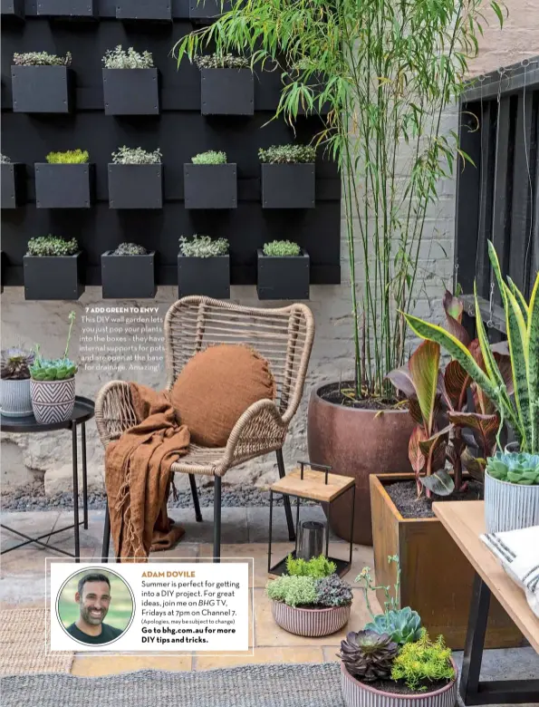  ??  ?? 7 add green to envy
This DIY wall garden lets you just pop your plants into the boxes – they have internal supports for pots and are open at the base for drainage. Amazing!
