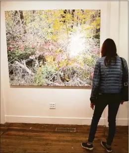  ?? ?? Claudia Wolloch of Scarsdale, N.Y., takes a closer look at “October” by Julie Leff at the Ridgefield Guild of Artists’ “Coming of Age” show.