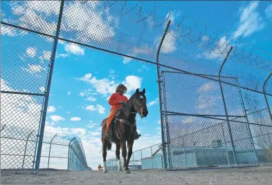  ?? MIKE BLAKE / REUTERS ?? An inmate rides a wild horse as part of the Wild Horse Inmate Program at Florence State Prison in Florence, Arizona, last month.
