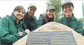  ?? JEAN LEVAC ?? From left, Paola Guillen, Fabrice Parisi, Jennifer Feschuk and Marie-Paule Godin of Tree Canada, which provided a grant to save 50 Westboro trees.