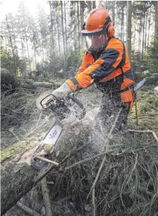  ?? FOTO: ROLAND RASEMANN ?? Holzfäller bei der Arbeit.