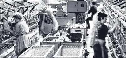  ??  ?? Workers attend to their tasks at Camperdown Works in Dundee.