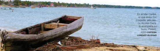  ?? FOTO CORTESÍA LORENZO VILLEGAS ?? En el Mar Caribe, el que limita con Córdoba, allá pesca Alcides Daza, lo acompaña su burro, Platero.