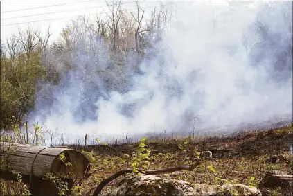  ?? Cassandra Day / Hearst Connecticu­t Media ?? Smoke rises from property off Freeman Road in Middletown as a fire smolders Wednesday morning. Officials said another Middletown brush fire, off Aircraft Road, is under control.