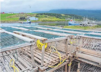  ?? TOM AYERS THE CHRONICLE HERALD ?? Lobster traps are stacked for the winter at Grand Etang Harbour, Inverness County, in this file photo. Les Suetes winds in the Grand Etang area can gust up to 145 kilometres per hour during storms. •