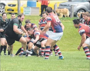  ?? JASON MALLOY/THE GUARDIAN ?? The P.E.I. Mudmen will play two rugby games at Westisle Composite High School on Saturday afternoon.