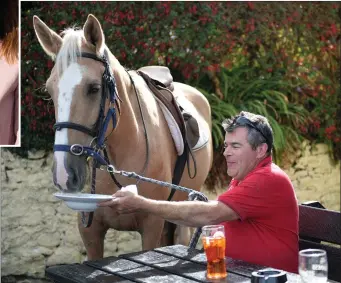  ??  ?? Pat Lumborth and faithful steed Camp Willow getting some vital nosh into themselves, fuel for the afternoon ahead. Photo by Domnick Walsh