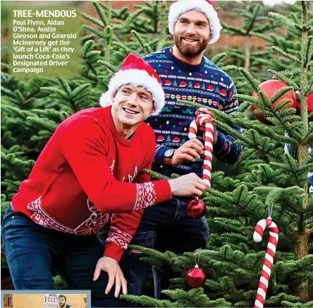  ??  ?? TREE-MENDOUS Paul Flynn, Aidan O’Shea, Austin Gleeson and Gearoid McInerney get the ‘Gift of a Lift’ as they launch Coca-Cola’s Designated Driver campaign