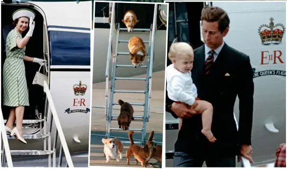  ?? ?? Dogs’ day out: Heathrow in 1998 Balmoral trip: Charles with William in Scotland in 1983