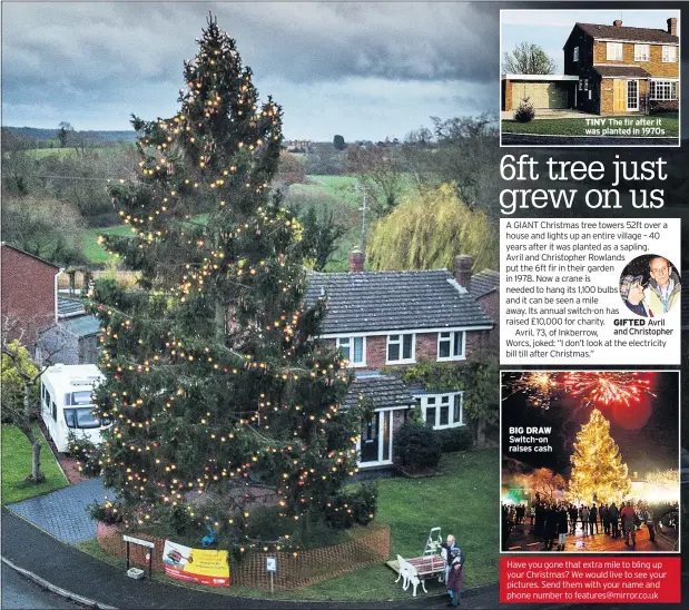  ??  ?? BIG DRAW Switch-on raises cash TINY The fir after it was planted in 1970s GIFTED Avril Have you gone that extra mile to bling up your Christmas? We would live to see your pictures. Send them with your name and phone number to features@mirror.co.uk