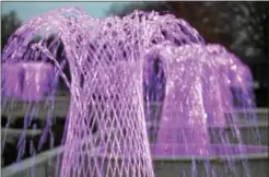  ?? SUBMITTED PHOTO ?? The Main Fountain Garden at Longwood Gardens can display millions of colors, and has been a hit with guests.