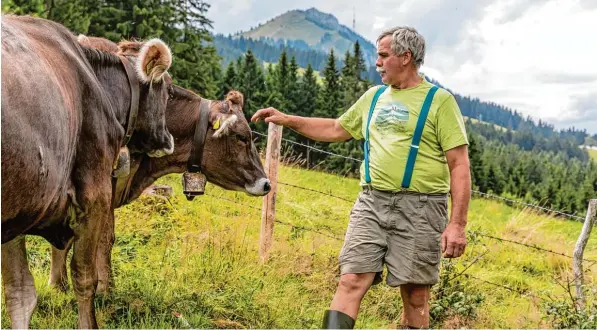  ??  ?? Konrad Müller, Bergbauer aus dem Oberallgäu, hat Angst um seine Rinder, seit er auf seiner Weide zwei tote Kälber entdeckt hat. Für ihn steht fest: Das war ein Wolf.