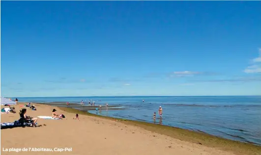  ??  ?? La plage de l’Aboiteau, Cap-Pel