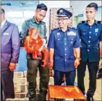  ?? ROYAL MALAYSIAN CUSTOMS/AFP ?? A royal Malaysian Customs official holds a baby orangutan during a press conference in Perlis, Malaysia.
