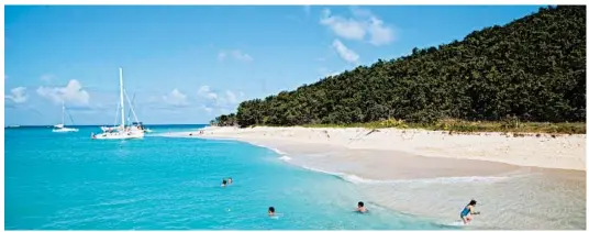  ?? U.S. VIRGIN ISLANDS DEPARTMENT OF TOURISM ?? Recovering from hurricanes Irma and Maria, the U.S. Virgin Islands combine fair weather beachgoing with opportunit­ies to help garden or restore coral reefs.