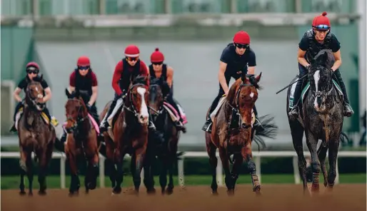  ?? — DUBAI RACING CLUB ?? Auguste Rodin (right) won four times at the highest-level last year.