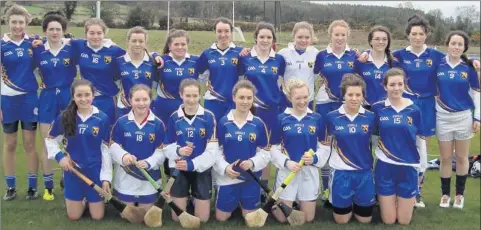  ??  ?? The Coláiste Bhride team from Carnerw who defeated St. Kevin’s in the Senior final.