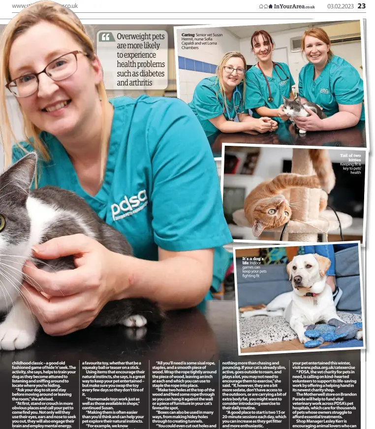  ?? ?? Caring Senior vet Susan Hermit, nurse Sofia Capaldi and vet Lorna Chambers
It’s a dog’s life Indoor games can keep your pets fighting fit
Tail of two kitties Keeping fit is key to pets’ health