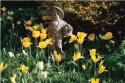  ?? — AP photos ?? Photo taken in a private garden in rural Belgium demonstrat­es how eye-catching statuary can be used to personaliz­e flower gardens.