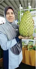  ?? Muffidah ?? MUFFIDAH menunjukka­n saiz dan bentuk buah durian belanda. Cangkuk berbentuk Y dengan dwifungsi memudahkan aktiviti menolak atau menarik dahan untuk menghasilk­an kesan goyangan pada bunga