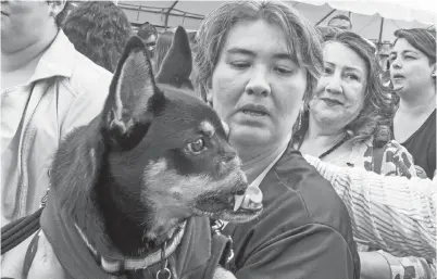  ?? — Gambar AFP ?? SEORANG wanita memegang Duke, anjing yang menjadi simbol antipender­aan haiwan di Costa Rica selepas ia ditemui hampir mati kerana ditetak dengan parang, ketika ribuan berarak di jalanan San Jose, kelamrin.