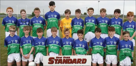  ??  ?? The Glynn-Barntown team prior to their victory against Sarsfields in Páirc Charman.