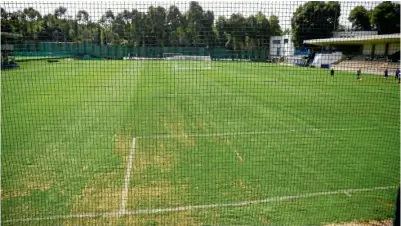  ??  ?? NOVEDAD.Así luce la cancha con césped híbrido en La Noria, que jugadores probaron por algunos minutos en la práctica.