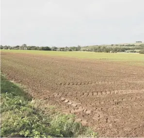  ?? ?? Chatsmore Farm, part of Goring Gap. Picture by Derek Martin