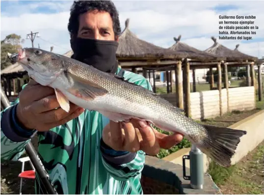  ??  ?? Guillermo Goro exhibe un hermoso ejemplar de róbalo pescado en la bahía. Afortunado­s los habitantes del lugar.