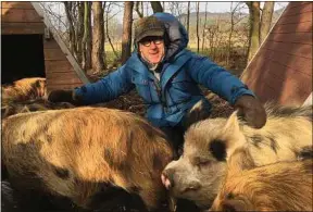  ??  ?? Les cochons ne sont pas sales, et ils méritent bien notre amitié.