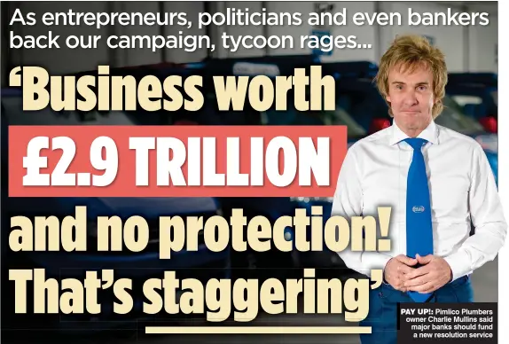  ??  ?? PAY UP!: Pimlico Plumbers owner Charlie Mullins said major banks should fund a new resolution service