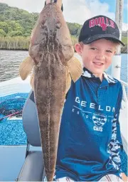  ?? ?? Louis with a nice Flathead caught deep water jigging on a Tweed River charter with Brad Smith.